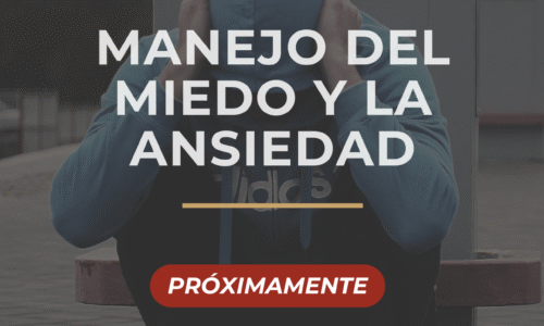miniatura del curso